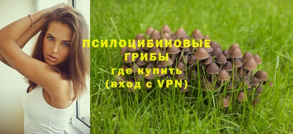 не бодяженный Баксан
