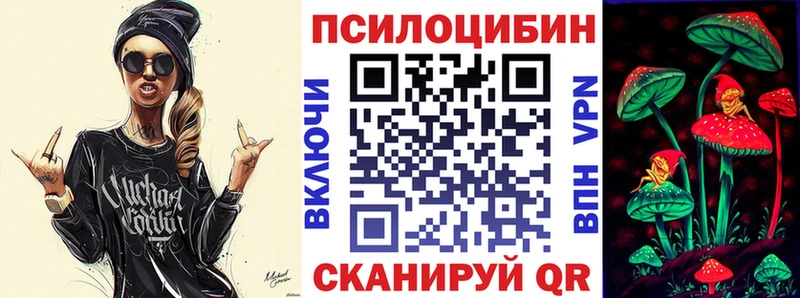 shop какой сайт  Ладушкин  Псилоцибиновые грибы Psilocybine cubensis 